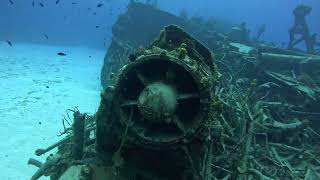 The Keith Tibbitts in Cayman Brac Beach Dive [upl. by Ellekram]