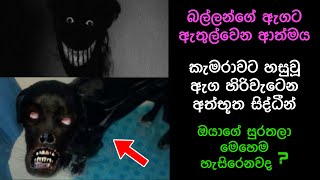 කැමරාවට හසුවූ හොල්මන් Part 20 Paranormal Activity kazzai holmanscience  Education [upl. by Robbi]