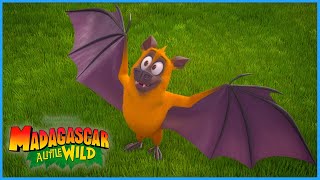 Visiting a spooky friend 🦇  Halloween Special 🎃  A Little Wild  DreamWorks Madagascar [upl. by Tipton]