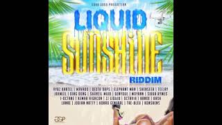 Ding Dong  Gyalis From Birth Liquid Sunshine Riddim [upl. by Lehet]