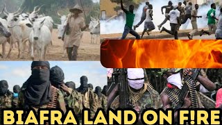 Breaking 🔥🔥 Fulani herdsmen set Fre on The Biafra land biafra [upl. by Lleinnad]