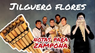 Jilguero flores  kjarkas 🇧🇴 notas para ZAMPOÑA [upl. by Enyrhtac]