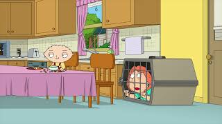 Family Guy  Stewie Stewie Stew Stewart Stew Stewie [upl. by Sherl]