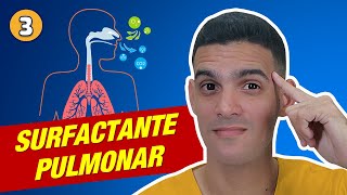 QUÉ es la TENSIÓN SUPERFICIAL y el SURFACTANTE PULMONAR FISIOLOGÍA RESPIRATORIA 3 [upl. by Adnocahs522]