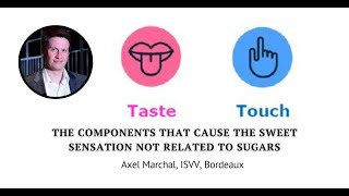 The components that cause the sweet sensation not related to sugars by Axel Marchal ISVV Bordeaux [upl. by Adirf]