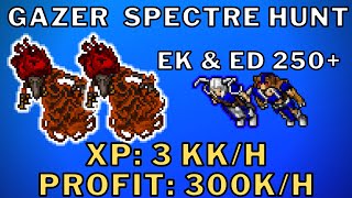 GAZER SPECTRE HUNT  XP 3KKH PROFIT 300KH EK E ED 250  TIBIA [upl. by Enidan480]