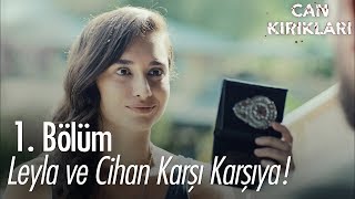 Leyla ve Cihan karşı karşıya  Can Kırıkları 1 Bölüm [upl. by Cinomod]