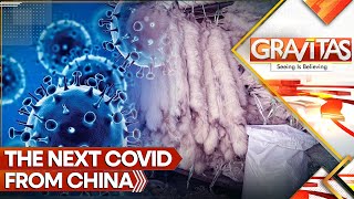 Next Covid From China Killer Virus Found in Chinese Fur Farms  Gravitas LIVE  WION World News [upl. by Turner600]