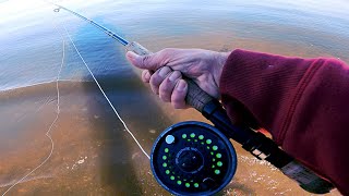 NO BASS  Winter Saltwater Fly Fishing for Striped Bass [upl. by Eisej]