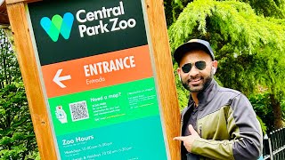 Central Park zoo  Animals World  Natures  Squirrels life  Wildlife  Tropical zone  NYC Travel [upl. by Marten]