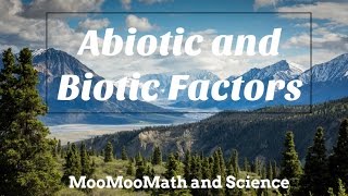 Difference between Abiotic and Biotic Factors [upl. by Anitnemelc826]