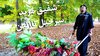 Shafiq Mureed Sarkhil Nazanin  شفیق مرید  سرخیل نازنین [upl. by Mit]