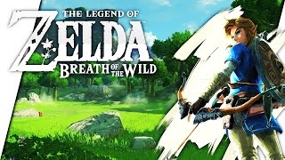 wildberries location in Zelda Breath of the Wild [upl. by Tdnaltroc]