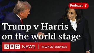 How the US election will shape Americas global role  The Global Story podcast BBC World Service [upl. by Wesa]