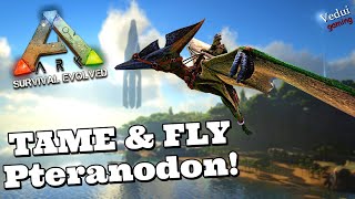 ARK  EASY steps to Tame and Fly the Pteranodon  TIPS Vedui42 ✔️ [upl. by Clayberg]