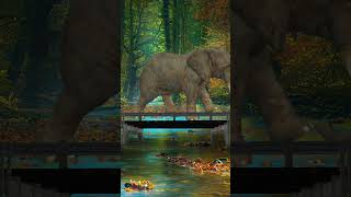 Elephant crossing the bridge with baby trendingvideo [upl. by Turpin954]