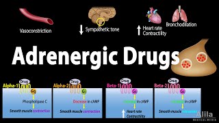 Adrenergic Drugs  Pharmacology Animation [upl. by Sivrad]