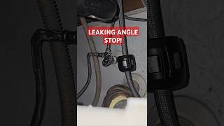 LEAKY ANGLE STOP 💧 plumbing plumber fail diy howto plumbingrepair bluecollar shorts fyp [upl. by Berner900]