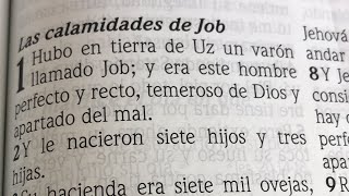 Biblia en Vivo  Job 1 Las calamidades de Job y 2 Pedro 3 El día del Señor vendrá RVR1960 [upl. by Okomom]