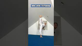 Side Kick Tutorial shorts martialarts [upl. by Nyrhtakyram]