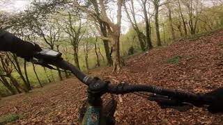 Steep hidden trails  Taffs Well Quarry North Cardiff Trails [upl. by Kayne]