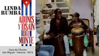 Linda Rumba  Osain del Monte [upl. by Anselmo]