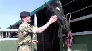 The Household Cavalry Mounted Regiment at the Royal Windsor Horse Show [upl. by Suivart690]