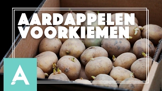 Aardappelen voorkiemen  Grow Cook Eat 4 [upl. by Zamir]