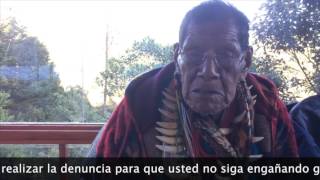 Taita Querubín La Verdad sobre Ayahuasca Internacional [upl. by Burman342]