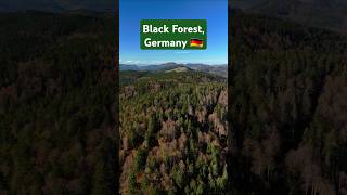 🍂 Black Forest from Above 🌲🇩🇪 [upl. by Orvan]