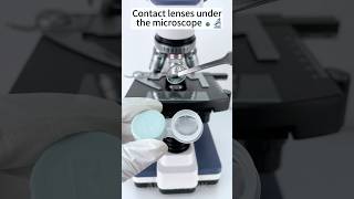 Contact lenses under the microscope 🔬amazing facts experiment [upl. by Orsa]