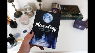 Monology cards review  LibraryOfPeculiar [upl. by Ylrebma]