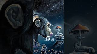 The Stoned Ape Theory Explained  Joe Rogan jre joerogan [upl. by Sclater]