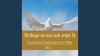 Mă simt ca o frunză purtată de vânt [upl. by Wilkins]