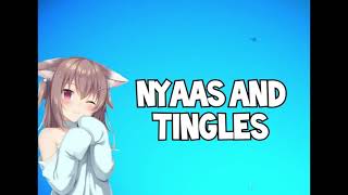 Nyaas and Tingles Classic ASMR Brushing tapping blowing clicking crinkles [upl. by Devona]