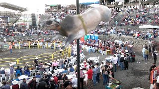 JARIPEO EN COENEO MICHOACAN 23 DE OCTUBRE 2024 [upl. by Astera]