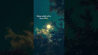 Dura akasa Ra Janha Tia🌙  Babushan mohanty  Odia sad lyrical song love song [upl. by Hcirdeirf448]