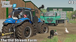 Farm Extension New Shed amp CowPen Sowing Barley amp Mowing Grass│The Old Stream│FS 22│Timelapse13 [upl. by Thapa920]