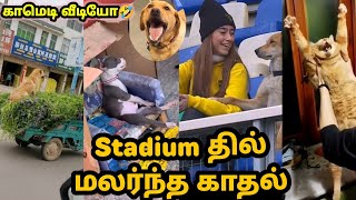 Protection for கீரை கட்டு  Funny video  Twisty story  Twist at end [upl. by Brunn805]