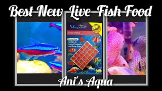 Best New Live Fish FoodVaquaria Bloodworms [upl. by Adyht]