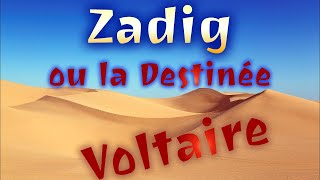 Zadig Voltaire  Chapitre 3  Le Chien et le Cheval [upl. by Pietra]