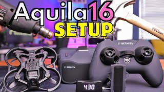 Complete Setup of Aquila16 RTF  Must Watch Before your 1st Flight [upl. by Lexerd]