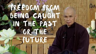 Freedom from Being Caught in the Past or the Future  Dharma talk by Thich Nhat Hanh 20140726 [upl. by Nemzaj942]