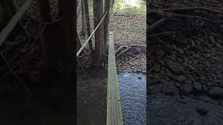 Twisted rickety rope bridge creek crossing creek outdoors adventure [upl. by Rush]