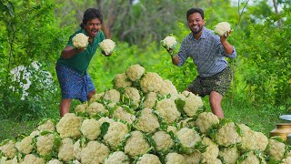 Gobi Manchurian Recipe  Cauliflower 65 Recipe  Village cooking [upl. by Averill541]