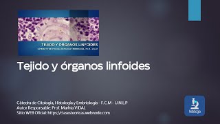 TEJIDO Y ÓRGANOS LINFOIDES [upl. by Aveline]