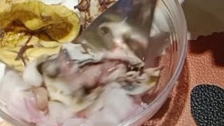 EGG EMBRYO 16 ASMR SATISFYING FOODFOODIE [upl. by Nolaj54]