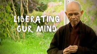 Liberating Our Mind Untying Knots the Ten Fetters  Thich Nhat Hanh short teaching video [upl. by Hsirahc933]