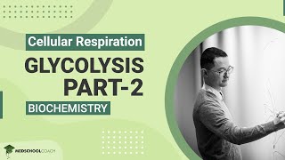 Glycolysis Part 2 [upl. by Aramit]