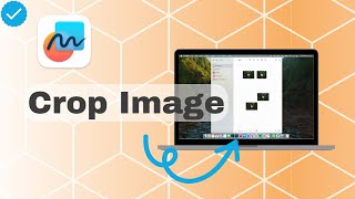 How To Crop Image On FreeForm [upl. by Haikezeh]